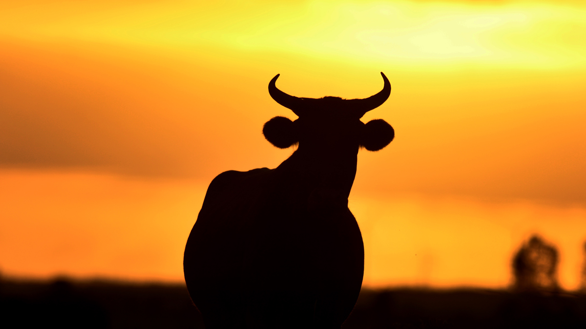 Bull case for gold remains despite coronavirus vaccine