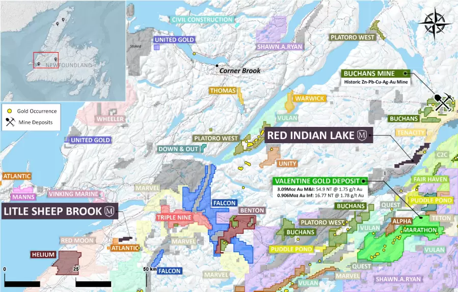 Manning Ventures to Acquire District Scale Polymetallic Projects in Newfoundland, Canada