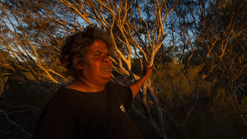 Uranium miner still set on WA mine despite approval knockback, Indigenous opposition